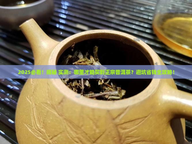 什么地方能卖到正宗普洱茶