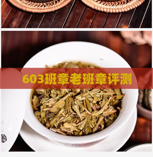 603老班章评测