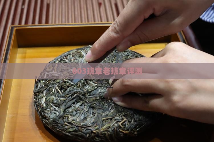 603老班章评测
