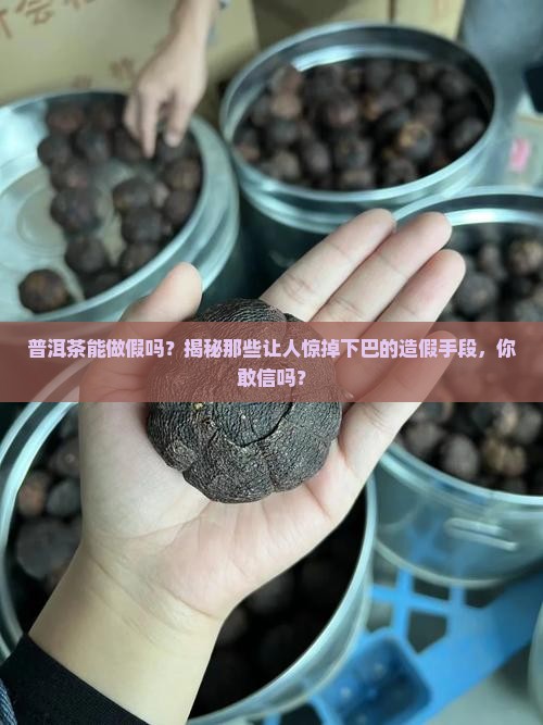普洱茶能做假吗