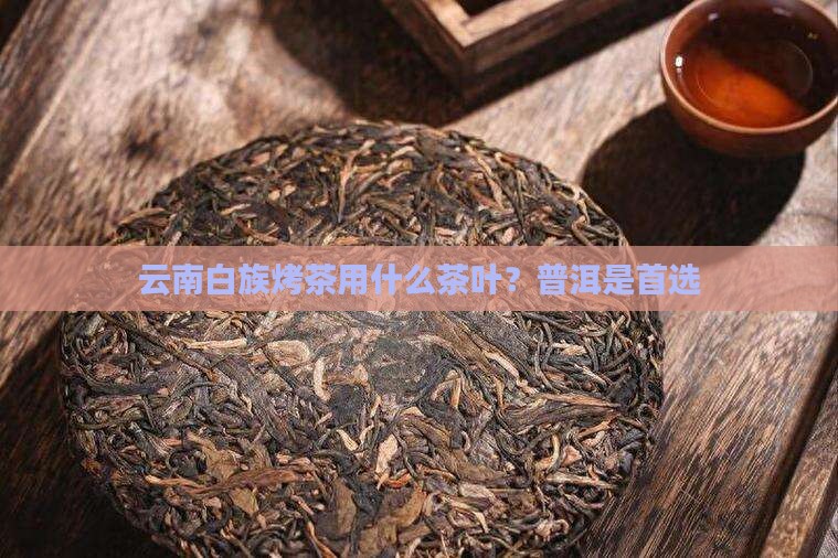 云南烤茶用的什么茶