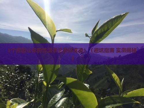 普洱茶沱茶会不会碎碎的