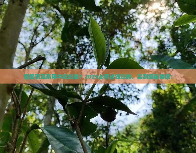 整提的普洱茶装牛皮纸