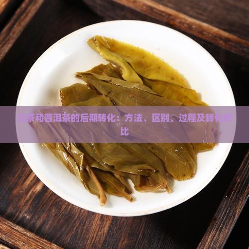 白茶和普洱茶的后期转化