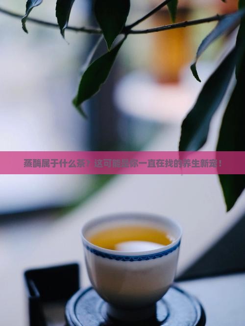 蒸酶属于什么茶