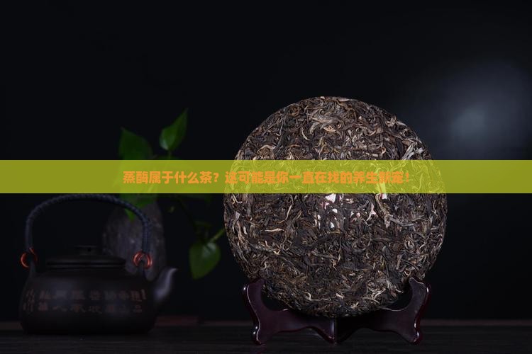 蒸酶属于什么茶