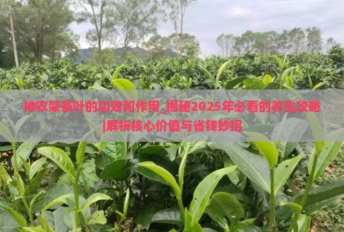 神农架茶叶的功效和作用