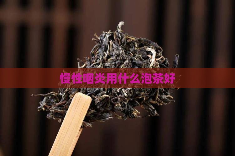慢性咽炎用什么泡茶好