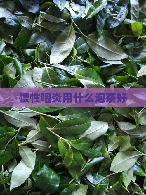 慢性咽炎用什么泡茶好