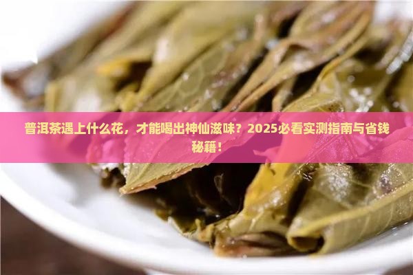 普洱茶与什么花一起泡水喝好
