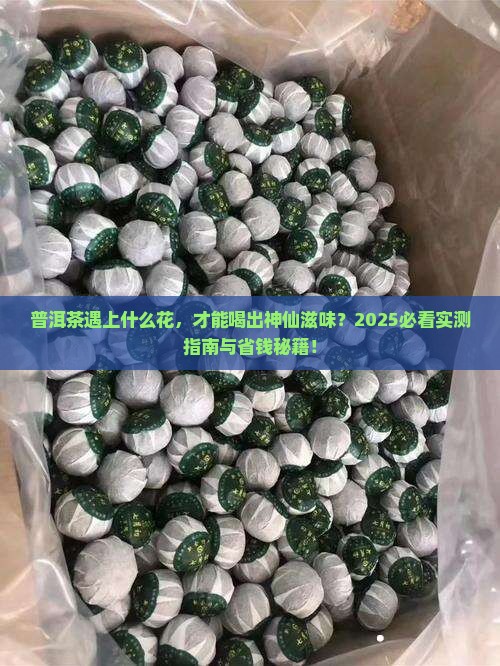 普洱茶与什么花一起泡水喝好