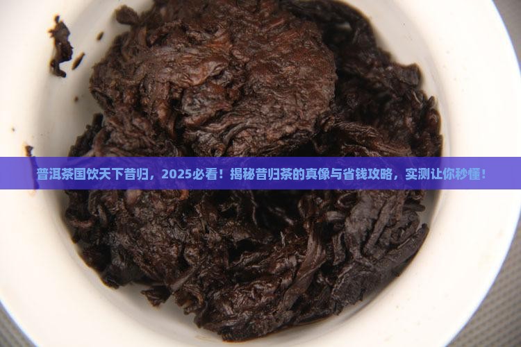 普洱茶国饮天下昔归