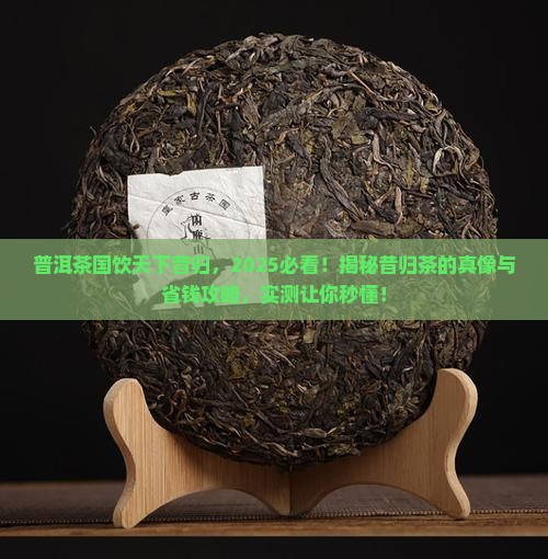普洱茶国饮天下昔归