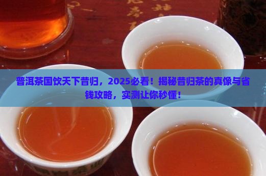 普洱茶国饮天下昔归