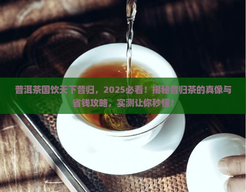 普洱茶国饮天下昔归