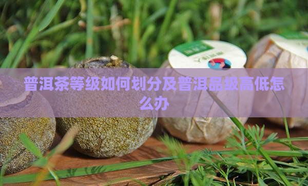 普洱茶品级高低怎么办