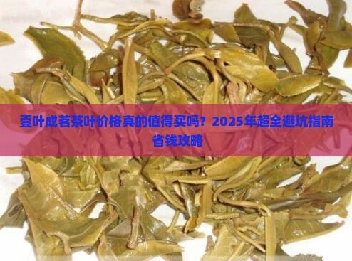 壹叶成茗茶叶价格