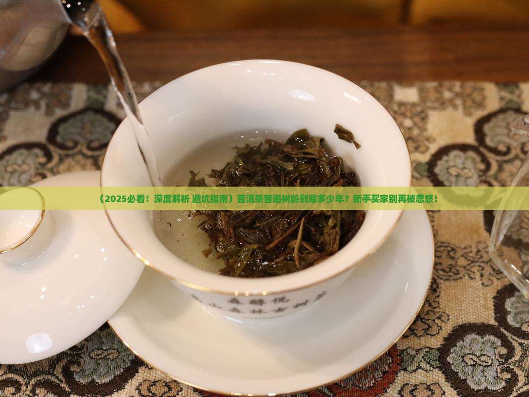 普洱茶普遍树龄
