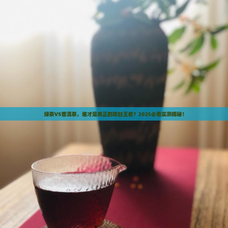 绿茶和普洱茶哪个防蛀