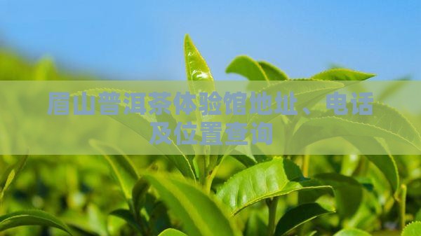 眉山普洱茶体验馆