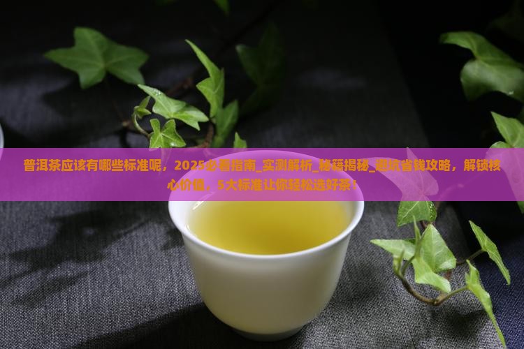 普洱茶应该有哪些标准呢