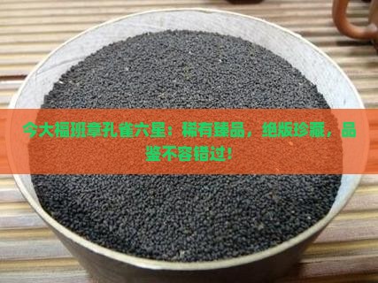 今大福班章孔雀六星