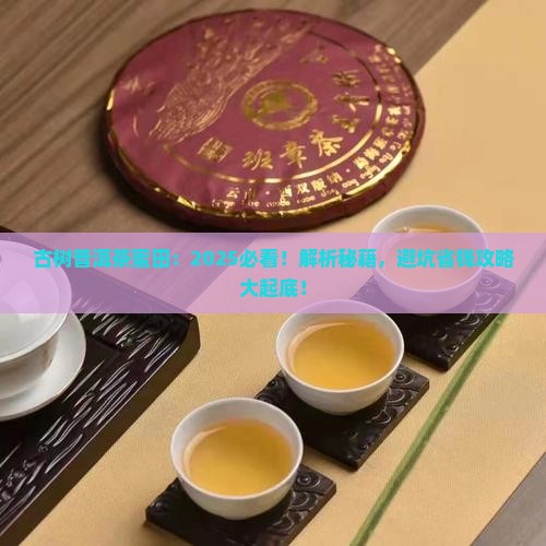 古树普洱茶蜜田