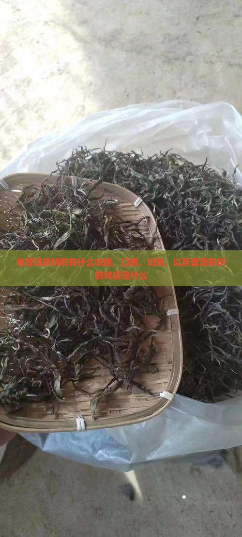 老普洱茶饼都有什么味道