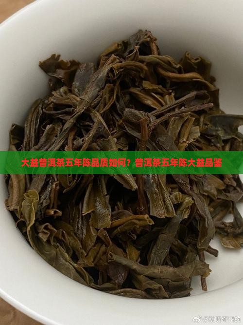 大益五年陈普洱茶怎么样
