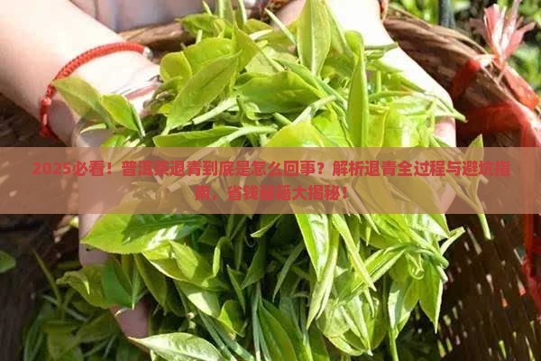 普洱茶退青是什么意思呀