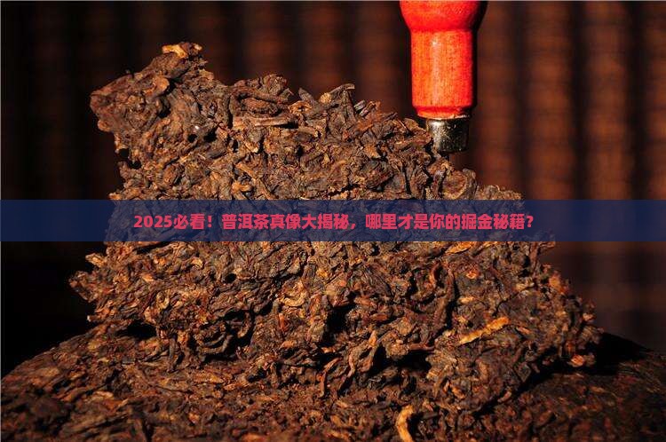 普洱茶哪儿的好卖