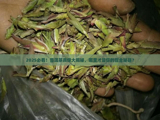 普洱茶哪儿的好卖