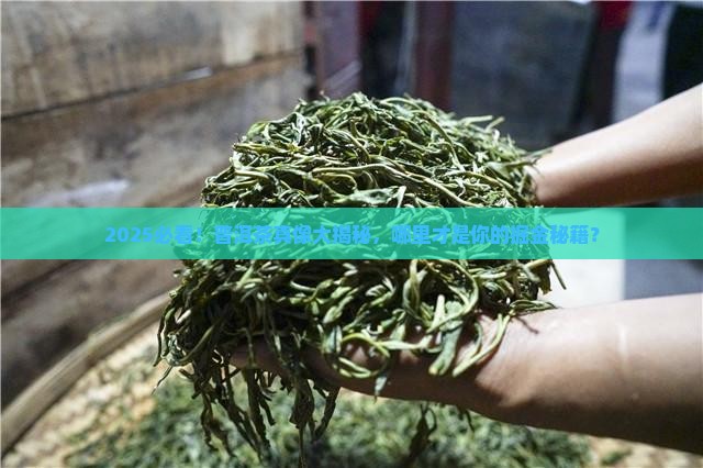 普洱茶哪儿的好卖