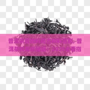 普洱茶苔地料和古树料区别