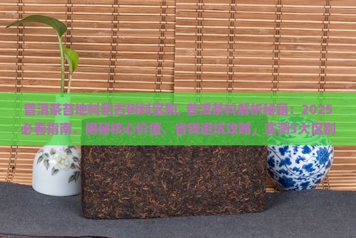 普洱茶苔地料和古树料区别
