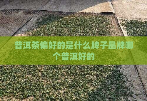 普洱茶偏好的是什么牌子