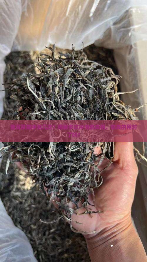 普洱茶能冲泡几次