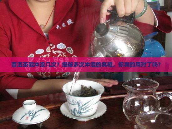 普洱茶能冲泡几次