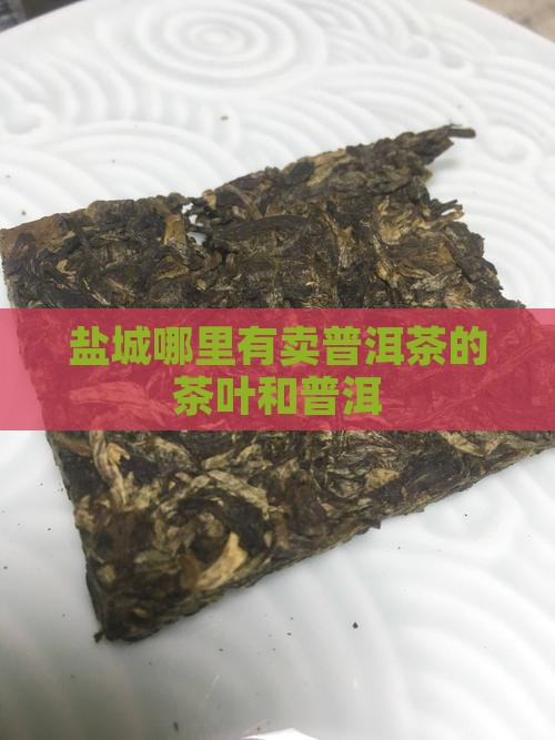 盐城哪里有卖普洱茶的