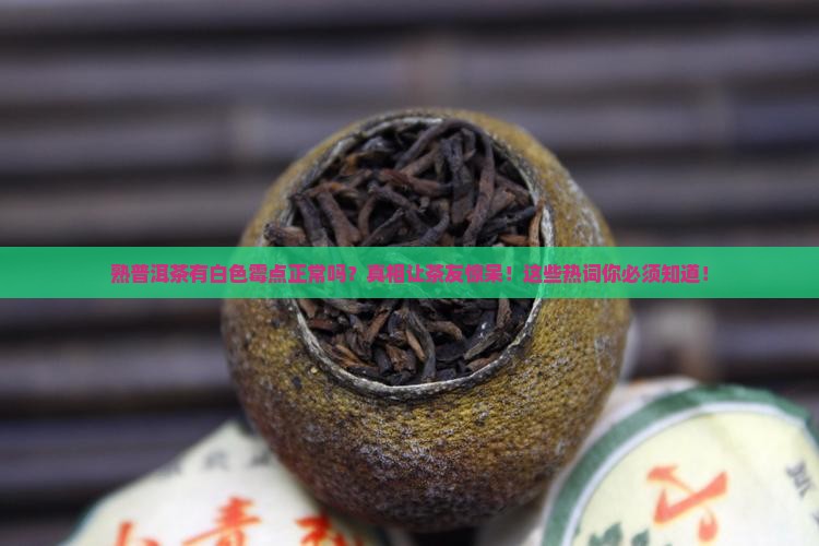 熟普洱茶有白色霉点正常吗