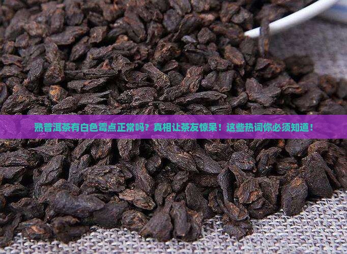 熟普洱茶有白色霉点正常吗