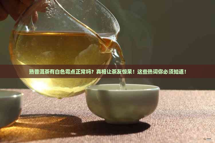 熟普洱茶有白色霉点正常吗