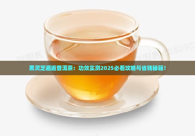 黑灵芝冲泡普洱茶功效