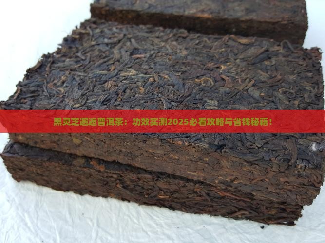 黑灵芝冲泡普洱茶功效
