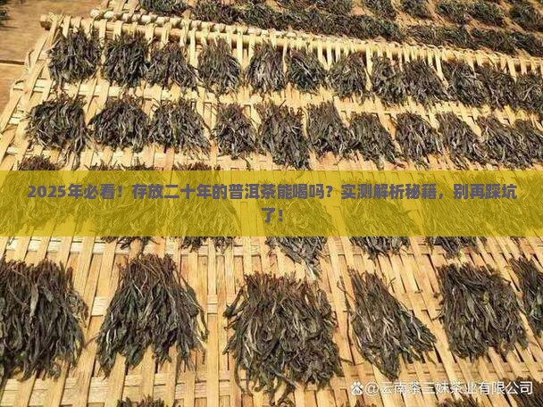 存放二十年的普洱茶能喝吗