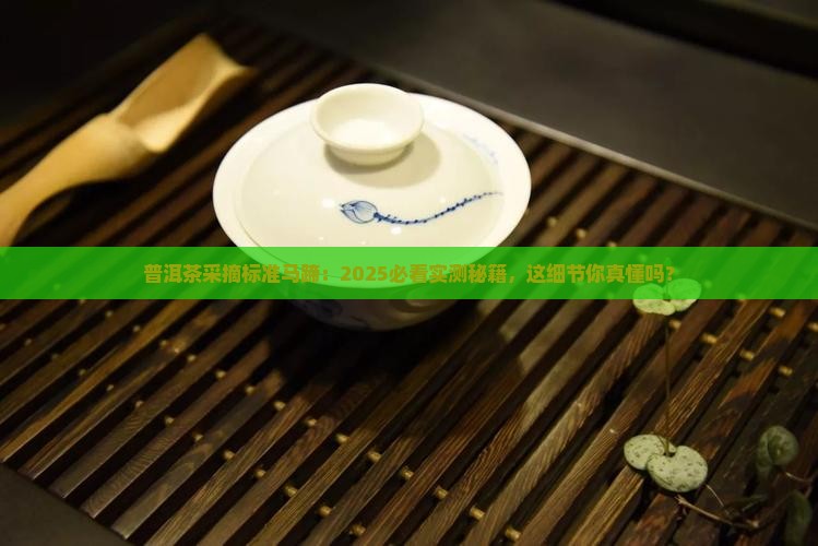 普洱茶采摘标准马蹄