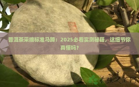 普洱茶采摘标准马蹄