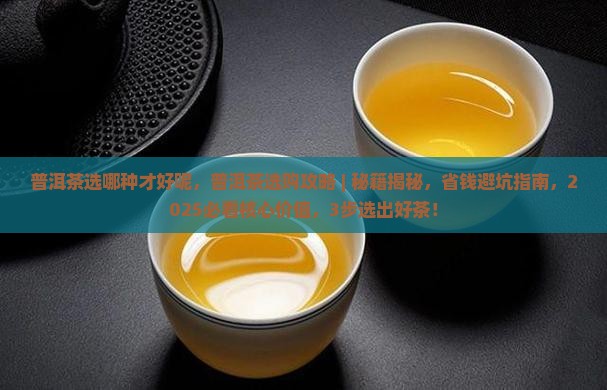 普洱茶选哪种才好呢