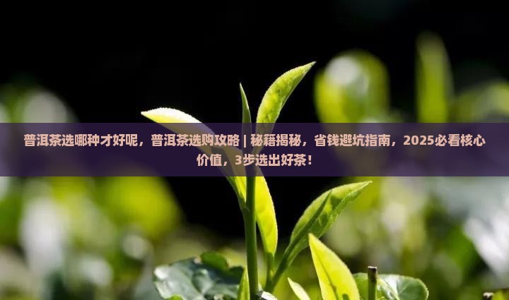 普洱茶选哪种才好呢