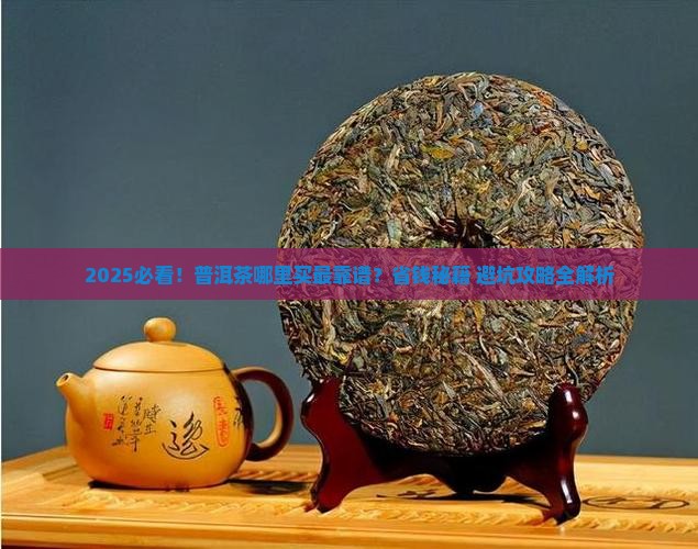 普洱茶哪里去买